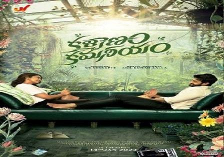 Telugu Movie Nenu Meeku Baaga Kavalsinavaadini
