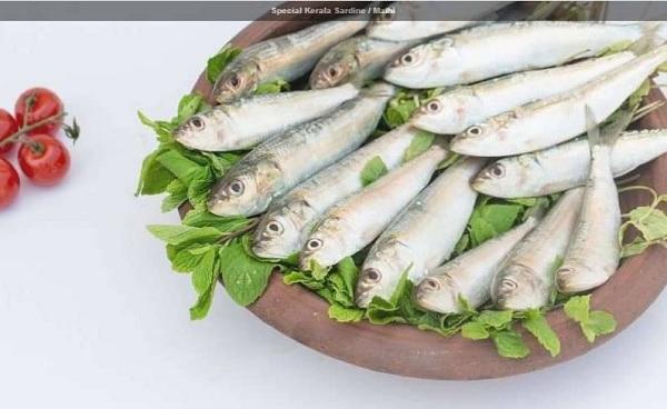 online fish shopping site
