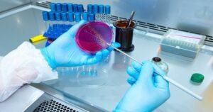 Petri dishes