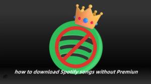 using ViWizard Spotify Music Converter